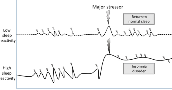 The impact of stress on sleep: Pathogenic sleep reactivity as a vulnerability to insomnia and circadian disorders